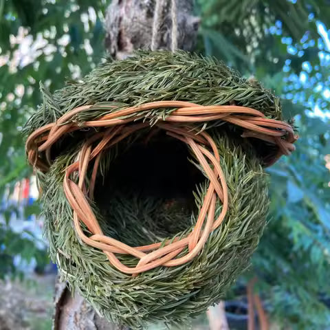 Maison d'oiseau en herbe naturelle, tissée à la main, abri pour petits oiseaux