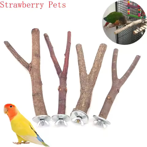 Perchoir Naturel en Bois Brut pour Oiseaux et Petits Rongeurs
