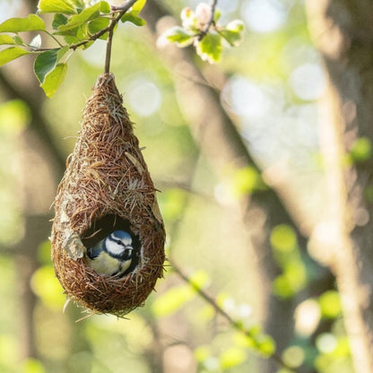 Lot de 2 Nichoirs en Herbe Naturelle Tressée pour Oiseaux – Nid Suspendu Goutte d'Eau