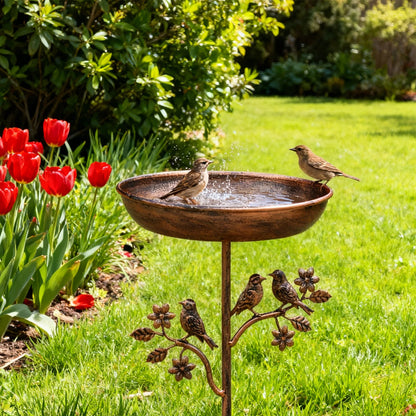 Bain d'oiseaux vintage en fer pour jardin extérieur - Robuste et décoratif