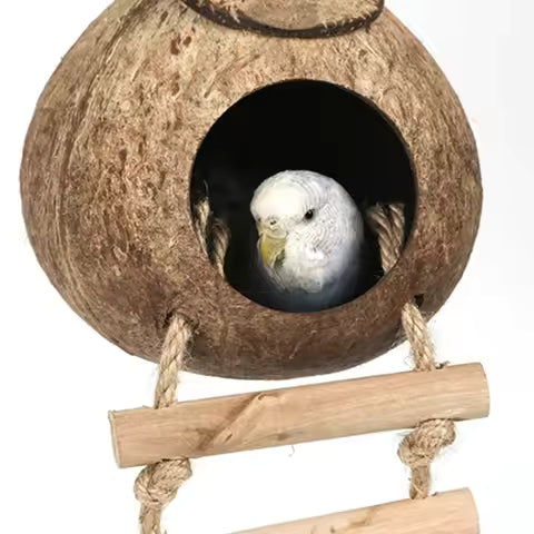Cabane Nid d'Oiseau en Noix de Coco Naturelle avec Échelle Suspendue - Cachette Idéale pour Perroquets et Pigeons