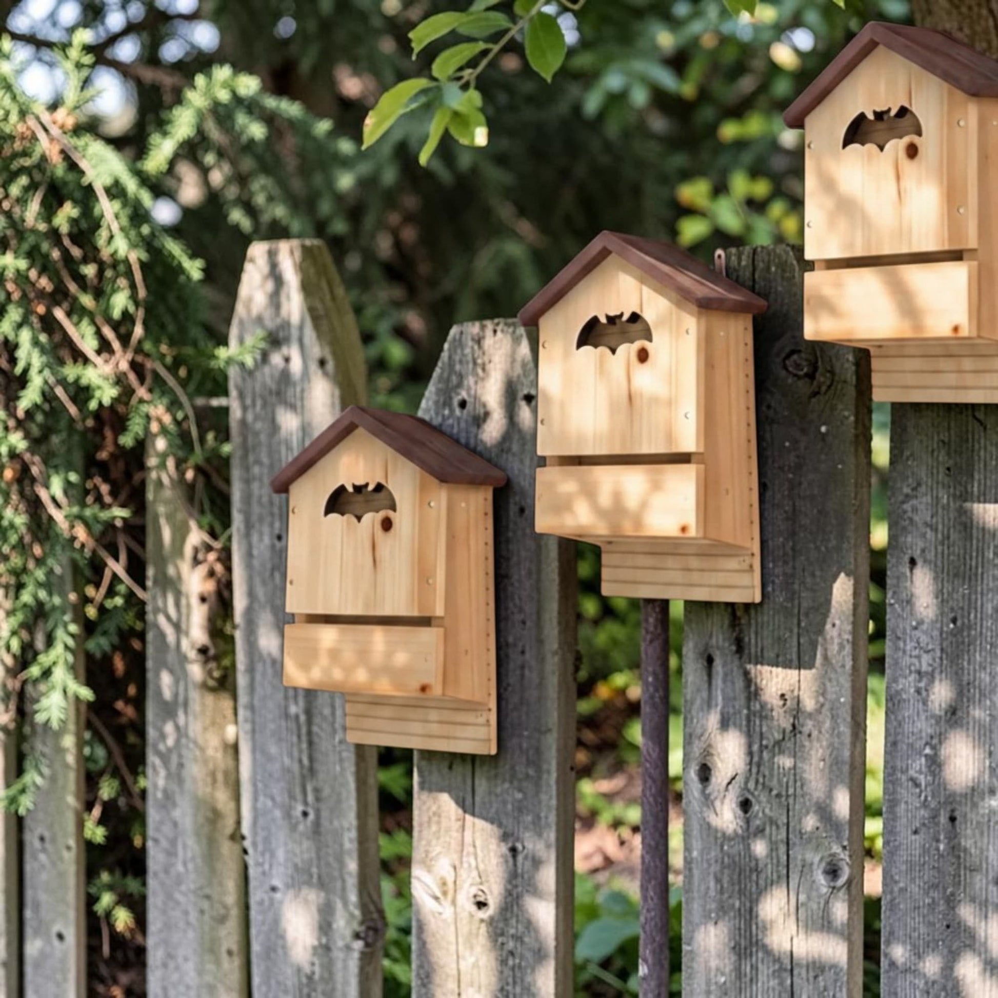 Abri à chauves-souris en sapin massif à double chambre, anti-moustiques naturel pour le jardin