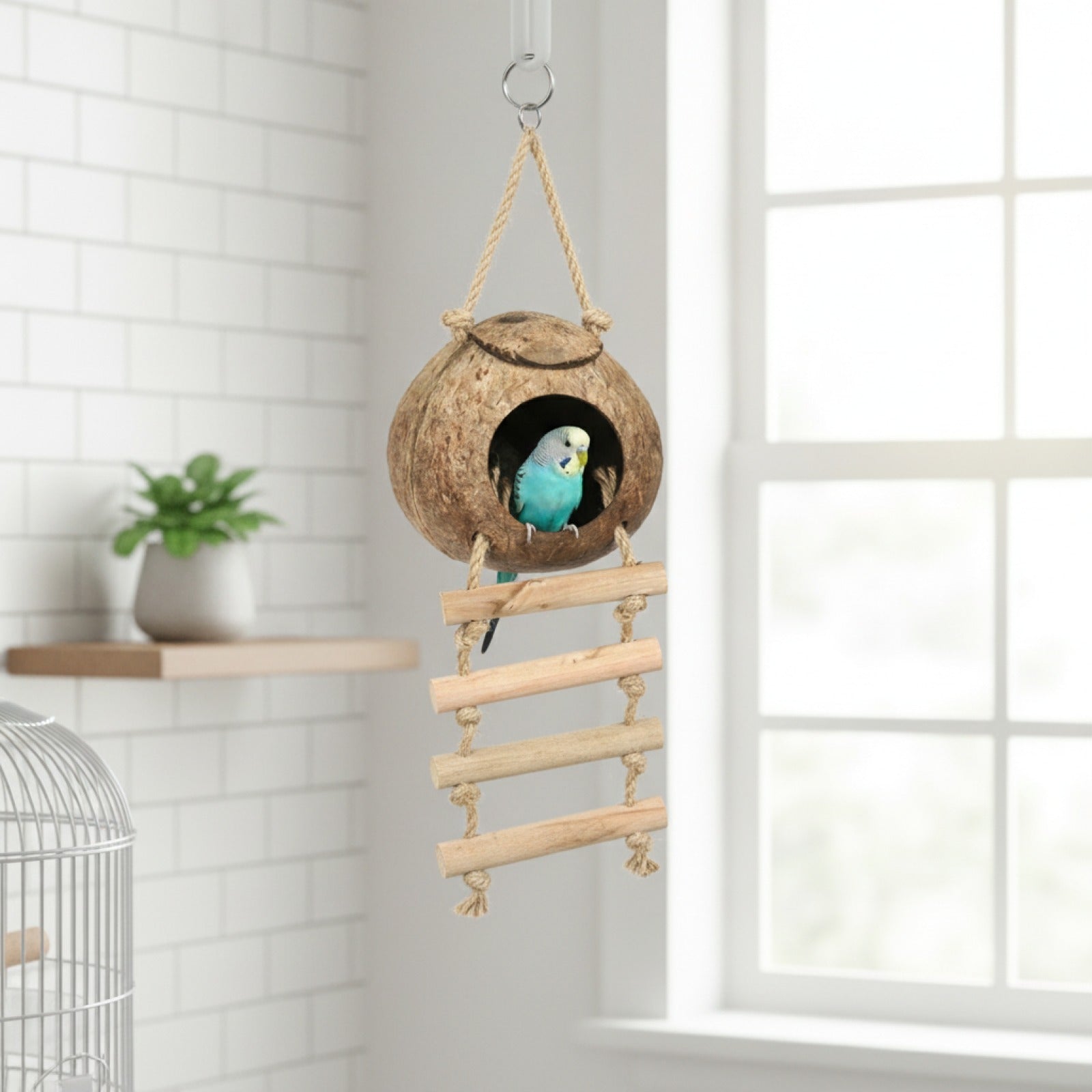 Cabane Nid d'Oiseau en Noix de Coco Naturelle avec Échelle Suspendue - Cachette Idéale pour Perroquets et Pigeons