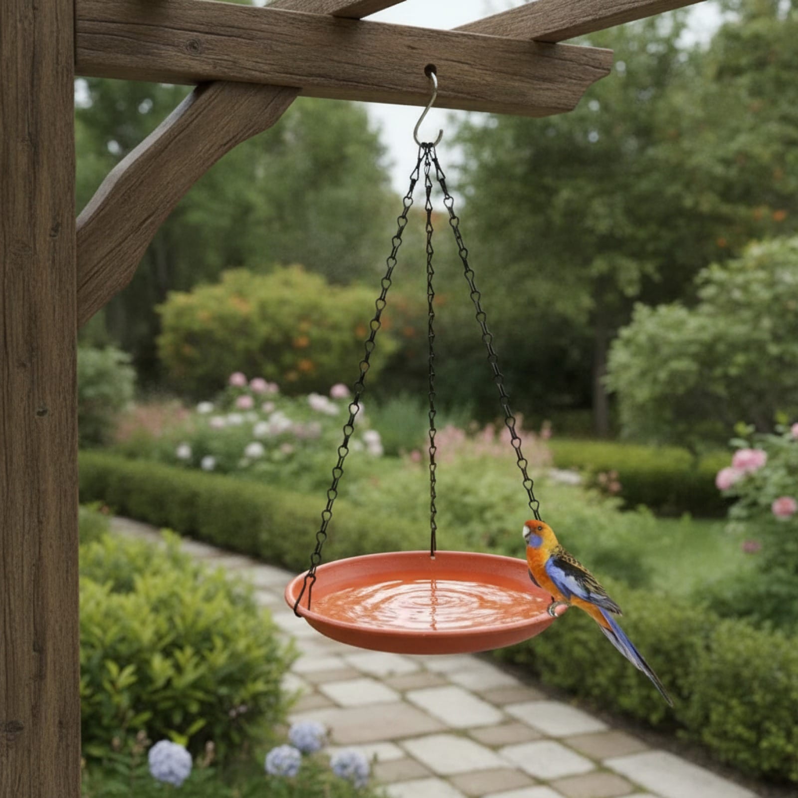 Mangeoire et Bain Rond Suspendu pour Oiseaux - Idéal Jardin & Cour