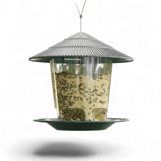 Mangeoire à oiseaux suspendue design gazebo avec toit vert, réservoir transparent rempli de graines et plateau, sur fond blanc