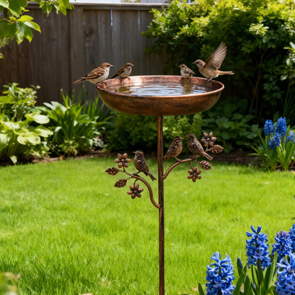 Bain d'Oiseaux Vintage en Fer pour Jardin