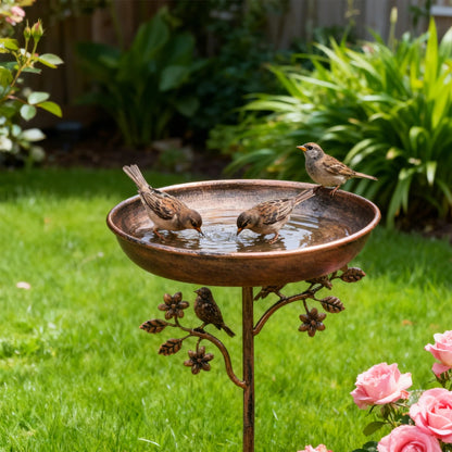 Bain d'Oiseaux Vintage en Fer pour Jardin