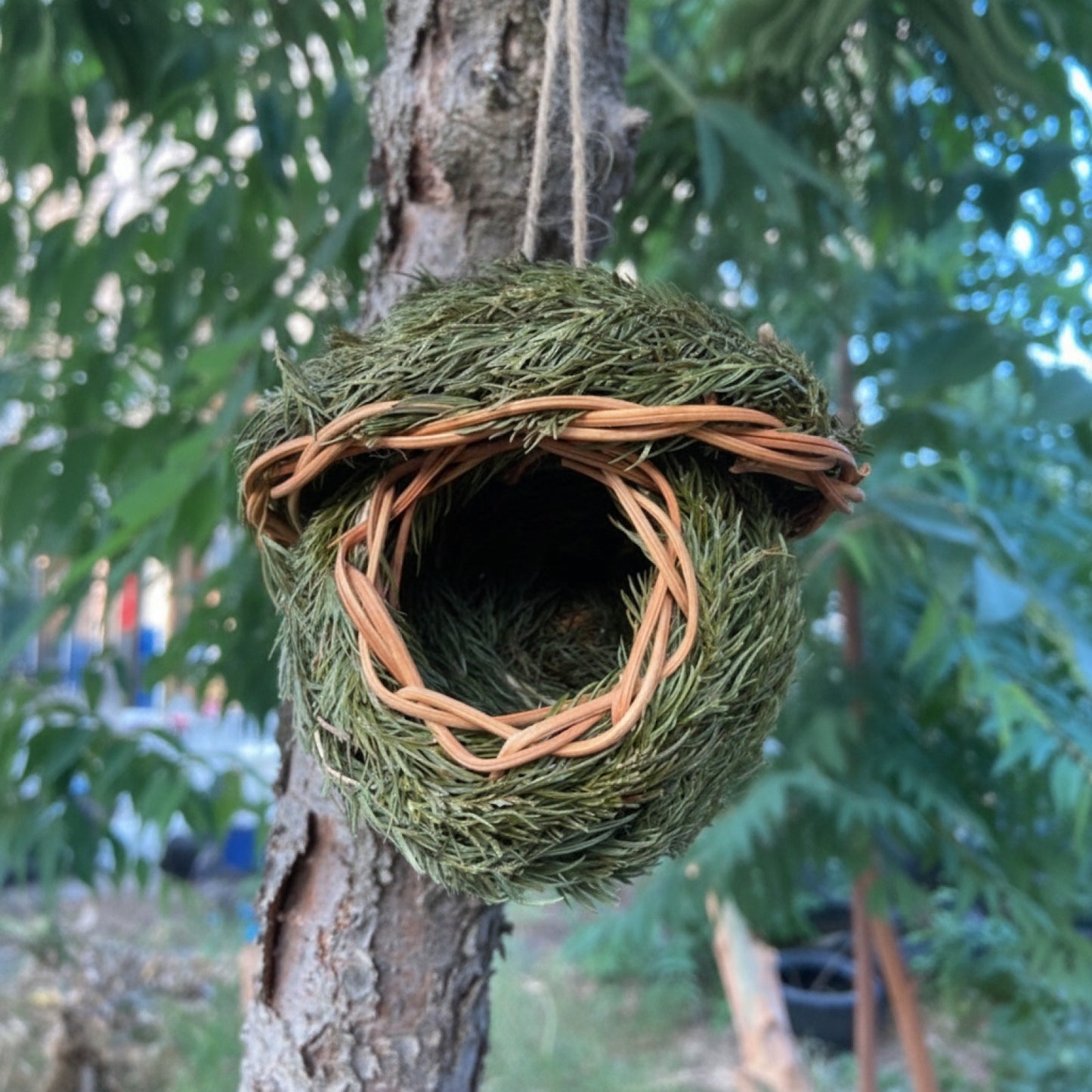 Maison d'oiseau en herbe naturelle, tissée à la main, abri pour petits oiseaux