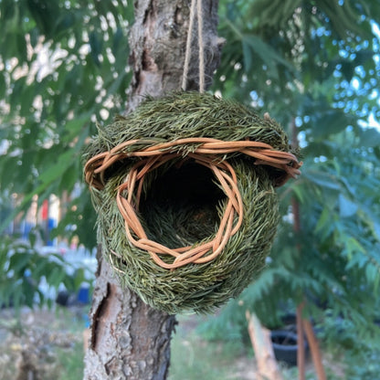 Maison d'oiseau en herbe naturelle, tissée à la main, abri pour petits oiseaux