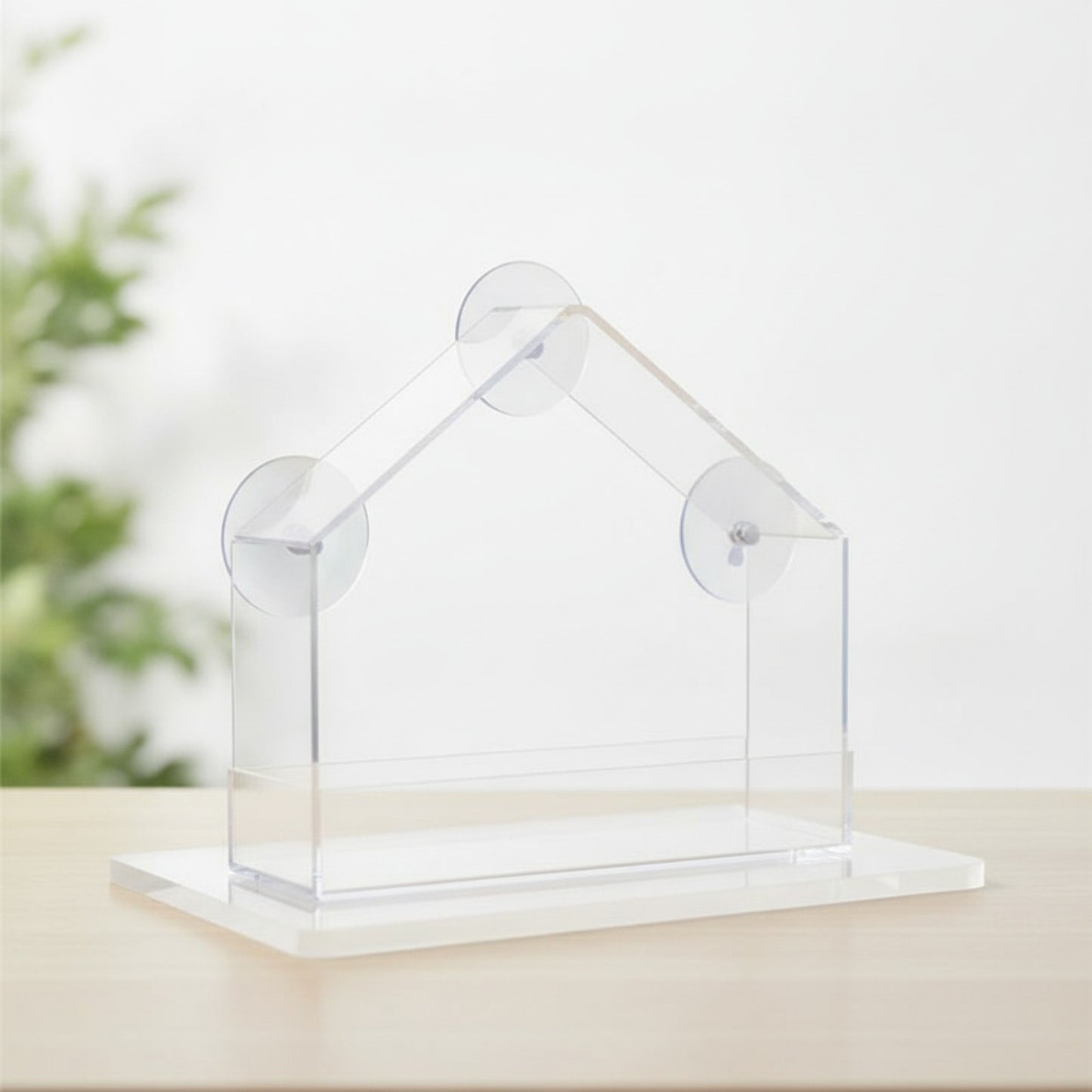 Mangeoire à Oiseaux Transparente avec Ventouse pour Fenêtre - Observation Facile des Oiseaux