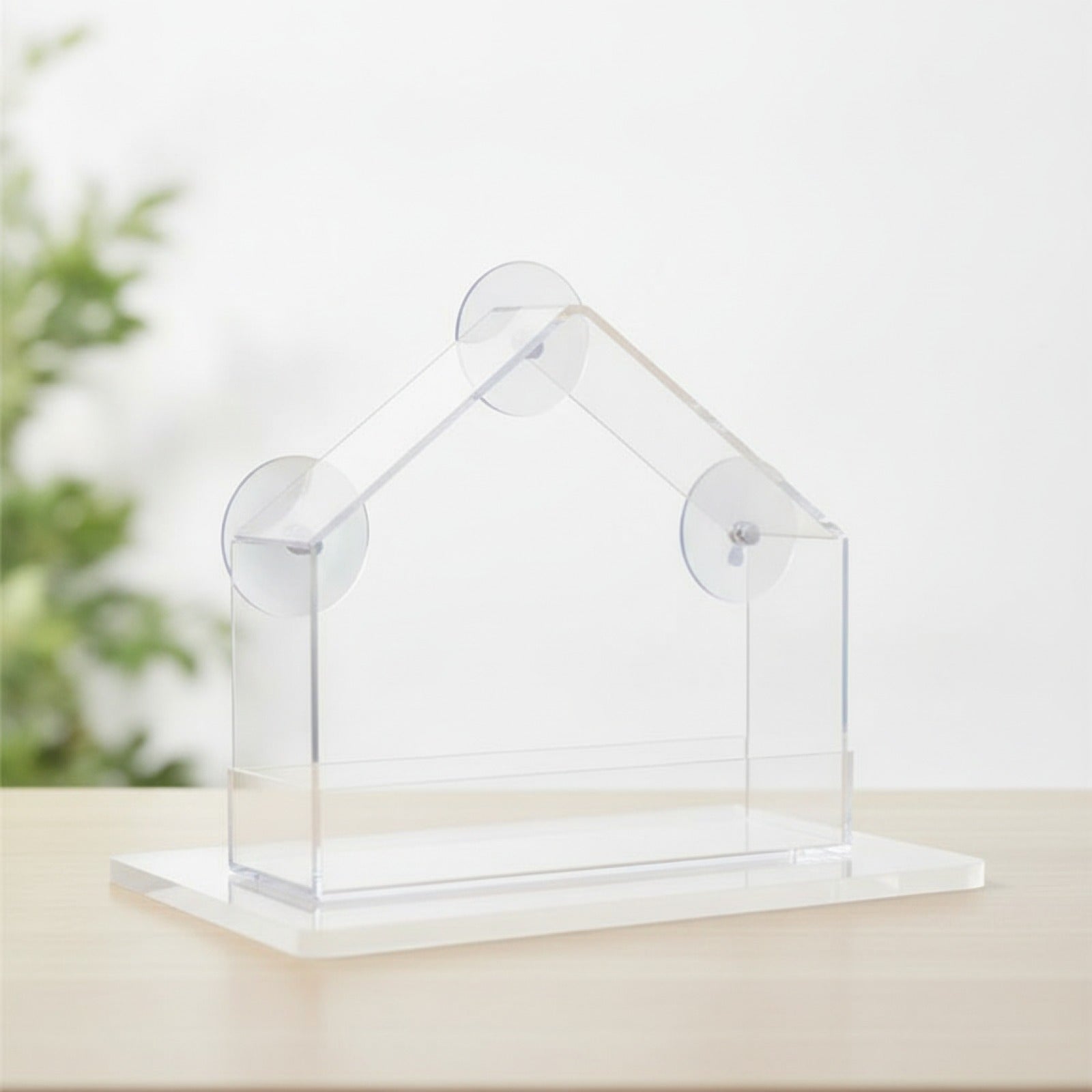 Mangeoire à Oiseaux Transparente avec Ventouse pour Fenêtre - Observation Facile des Oiseaux