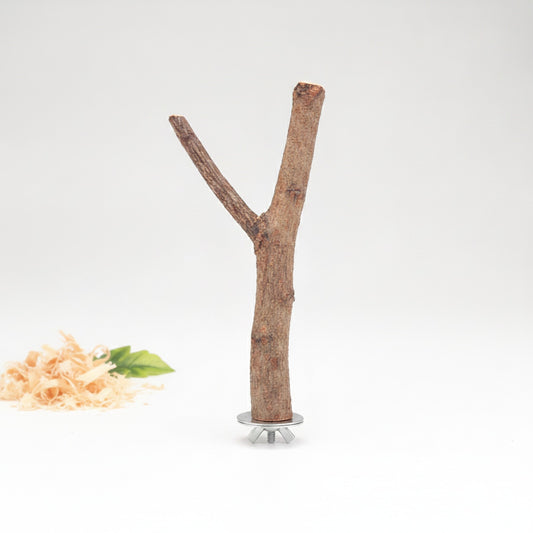 Perchoir Naturel en Bois Brut pour Oiseaux et Petits Rongeurs